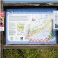 Dawlish Warren 013